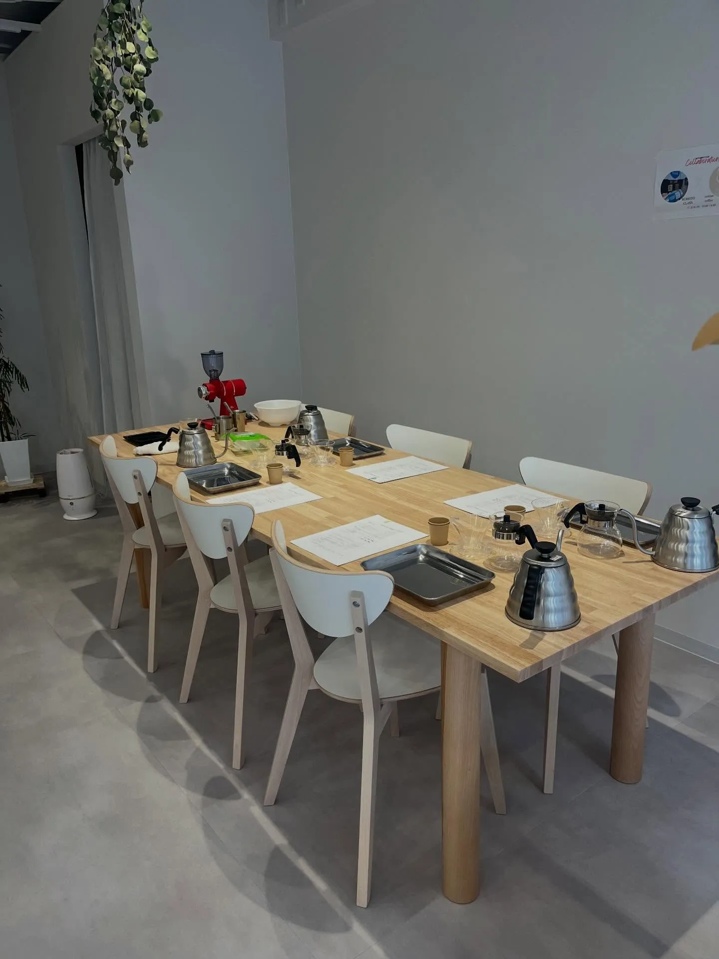 cotton coffeeです😊