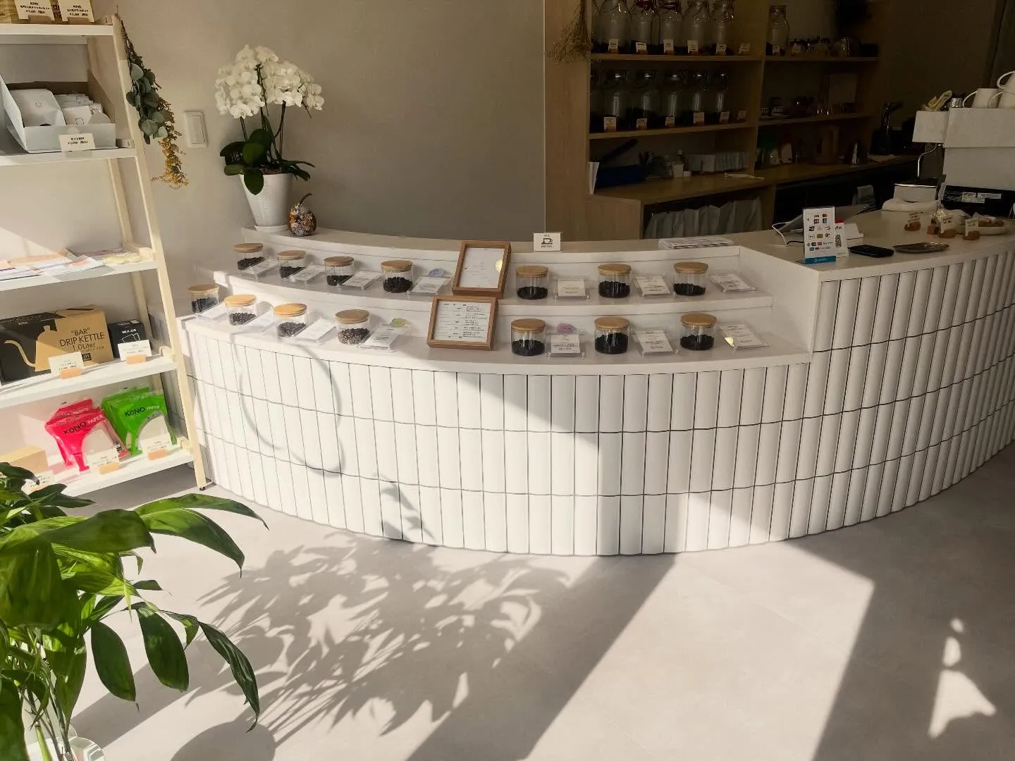 おはようございます。