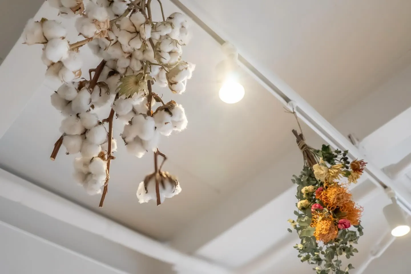 おはようございます。