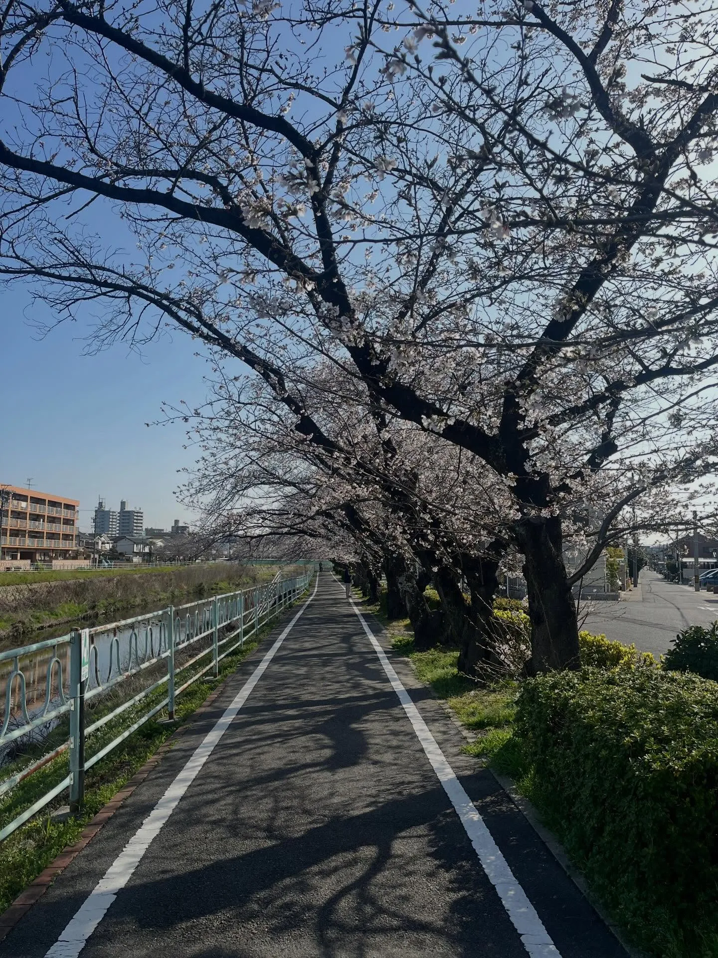 おはようございます。