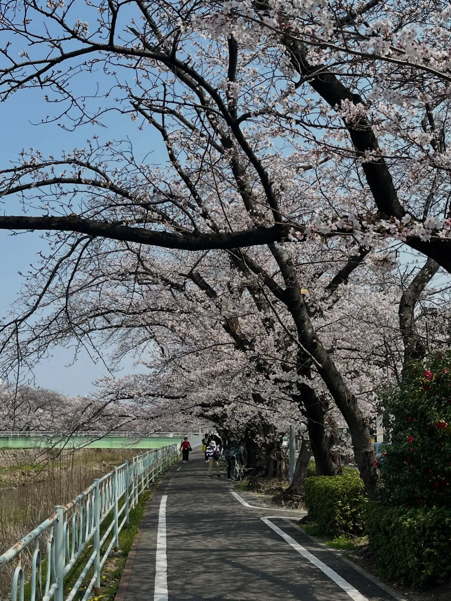 おはようございます。