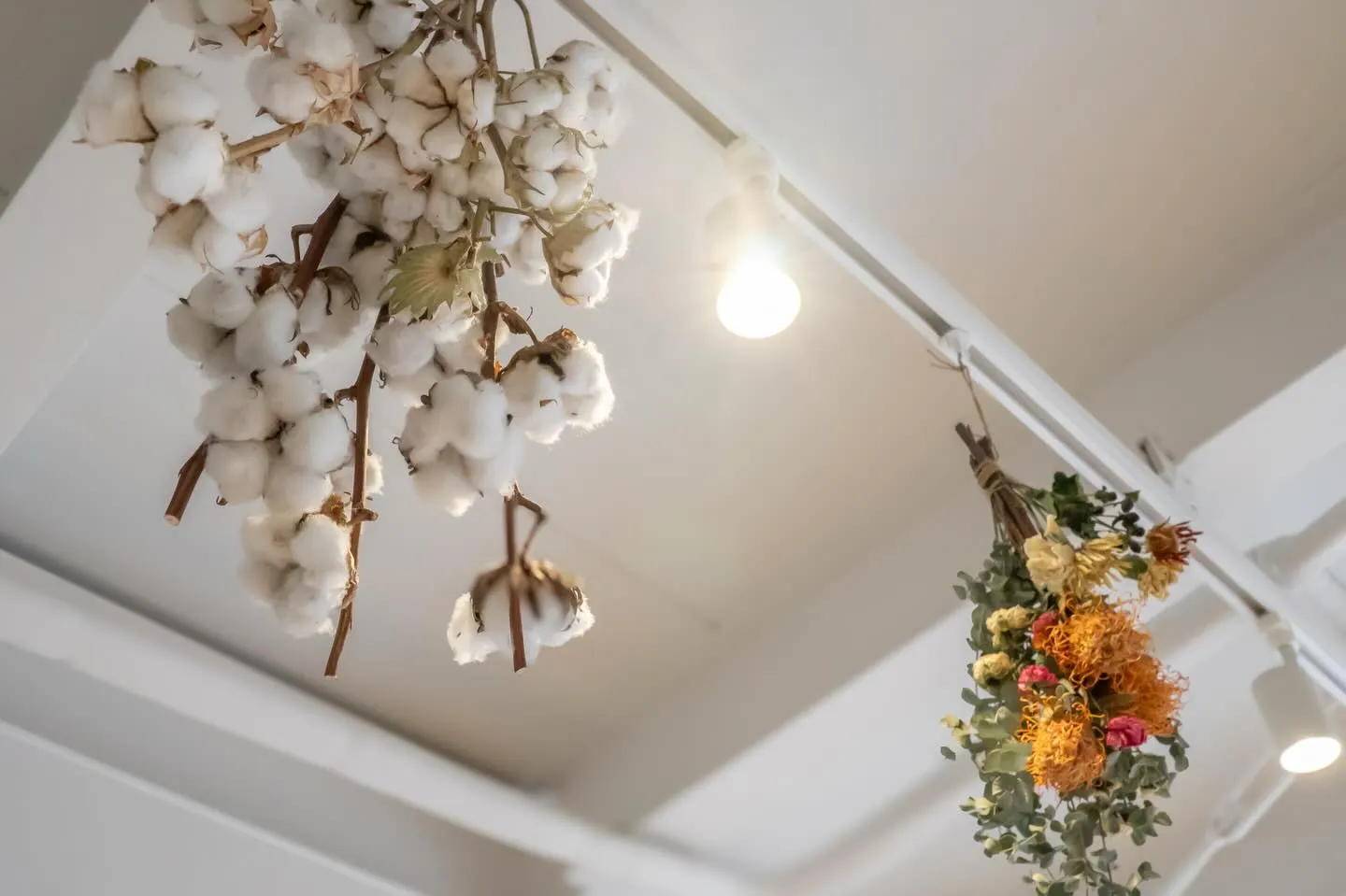 本日もcotton coffeeをご利用いただき、