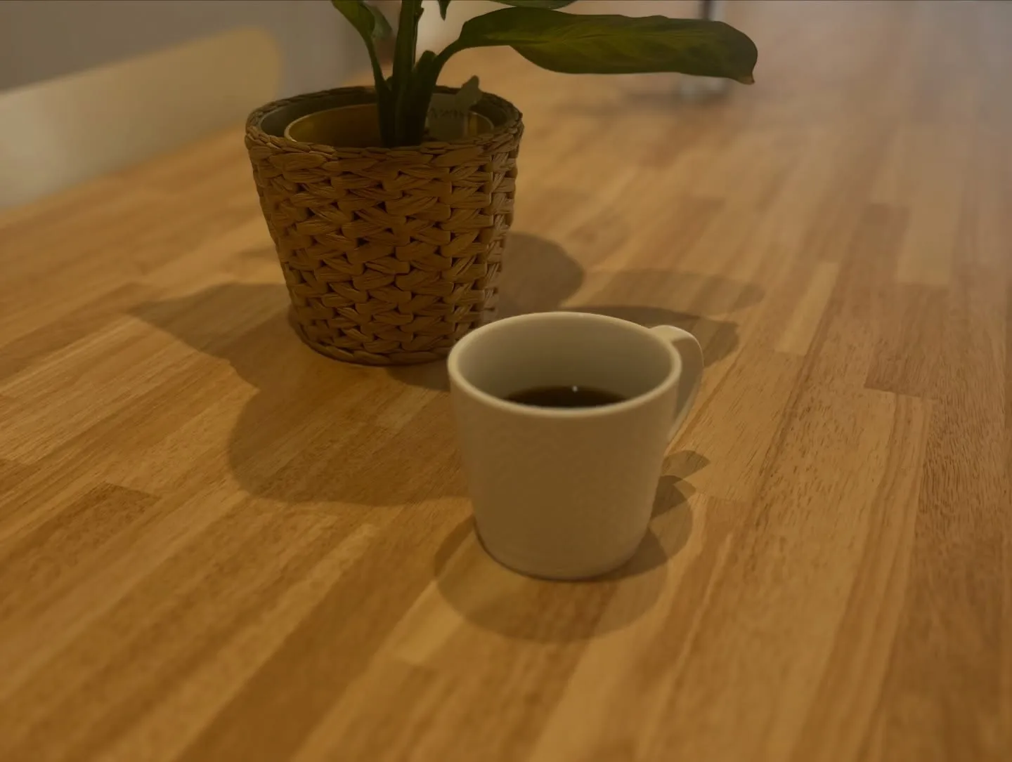 おはようございます。