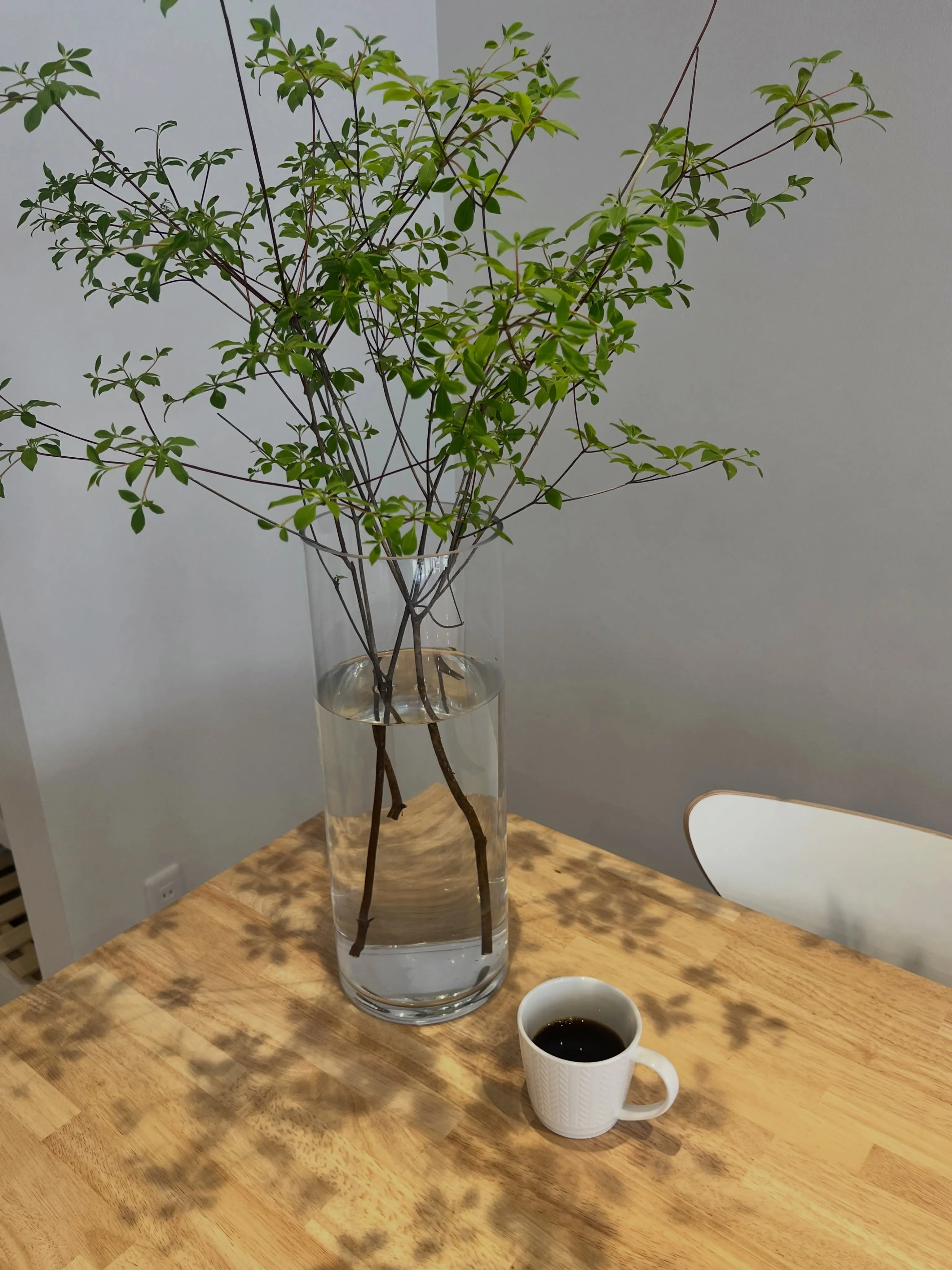 本日もcotton coffeeをご利用頂き、