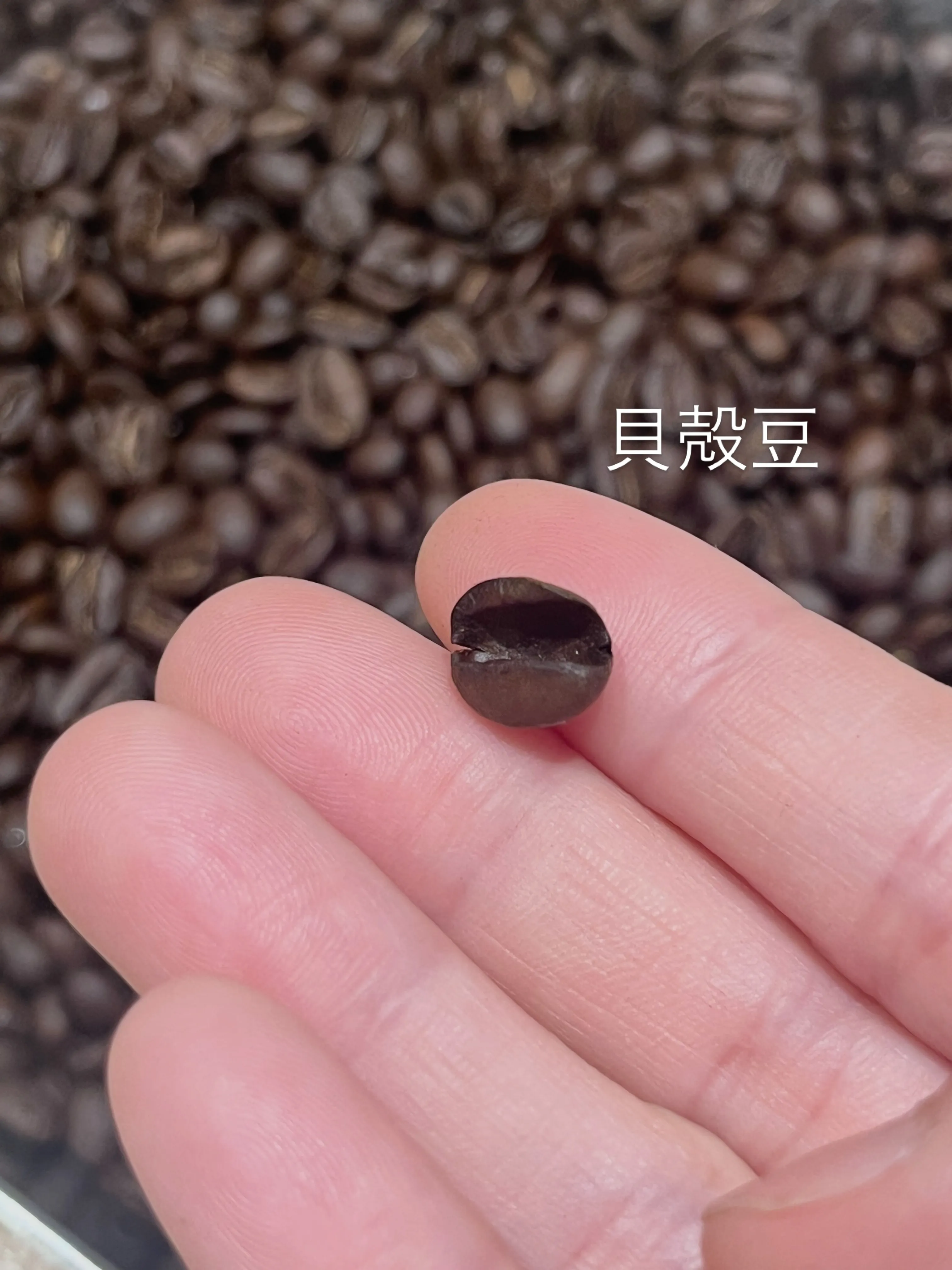 知っていましたか？