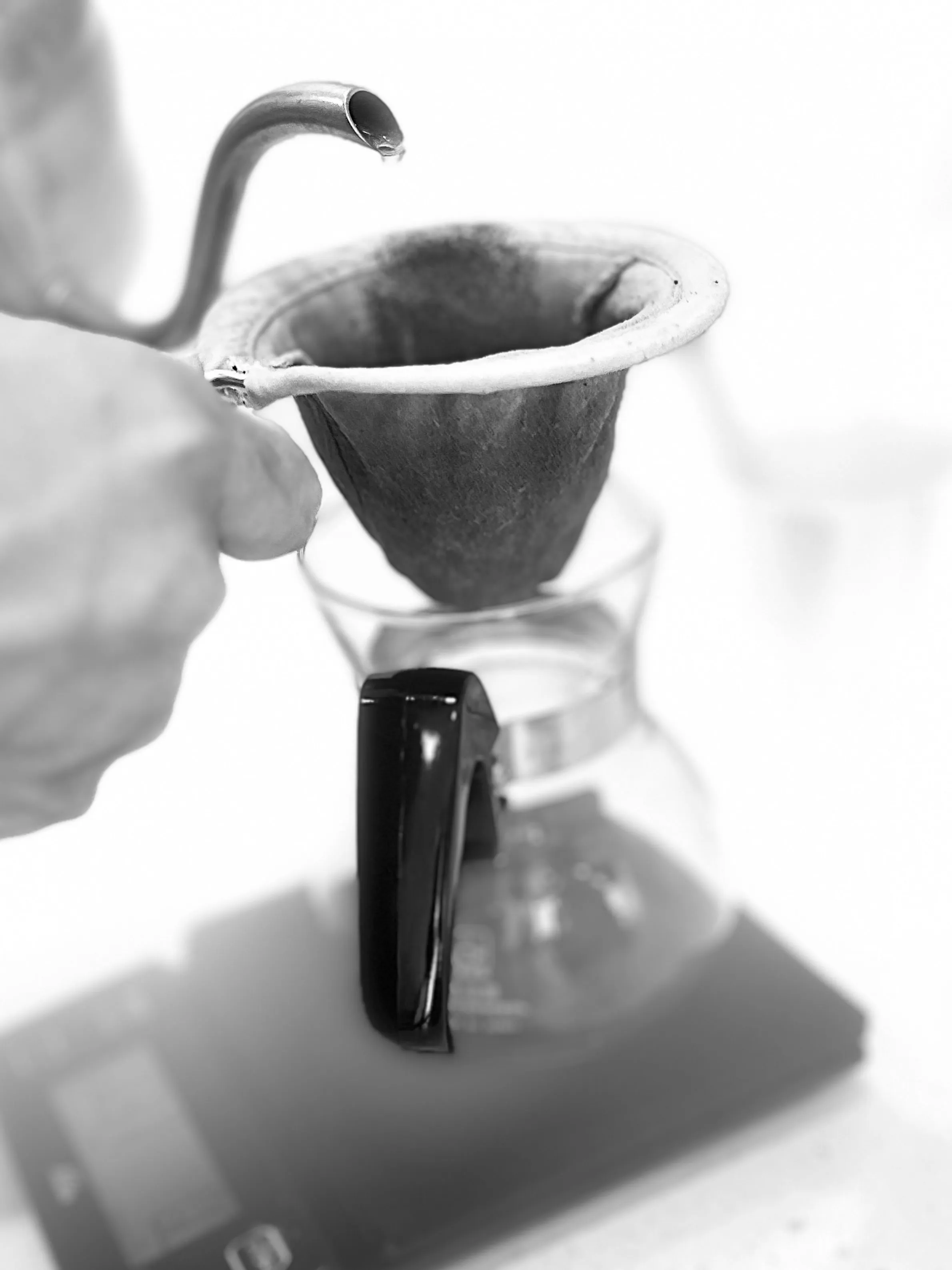 本日もcotton coffeeをご利用頂き、