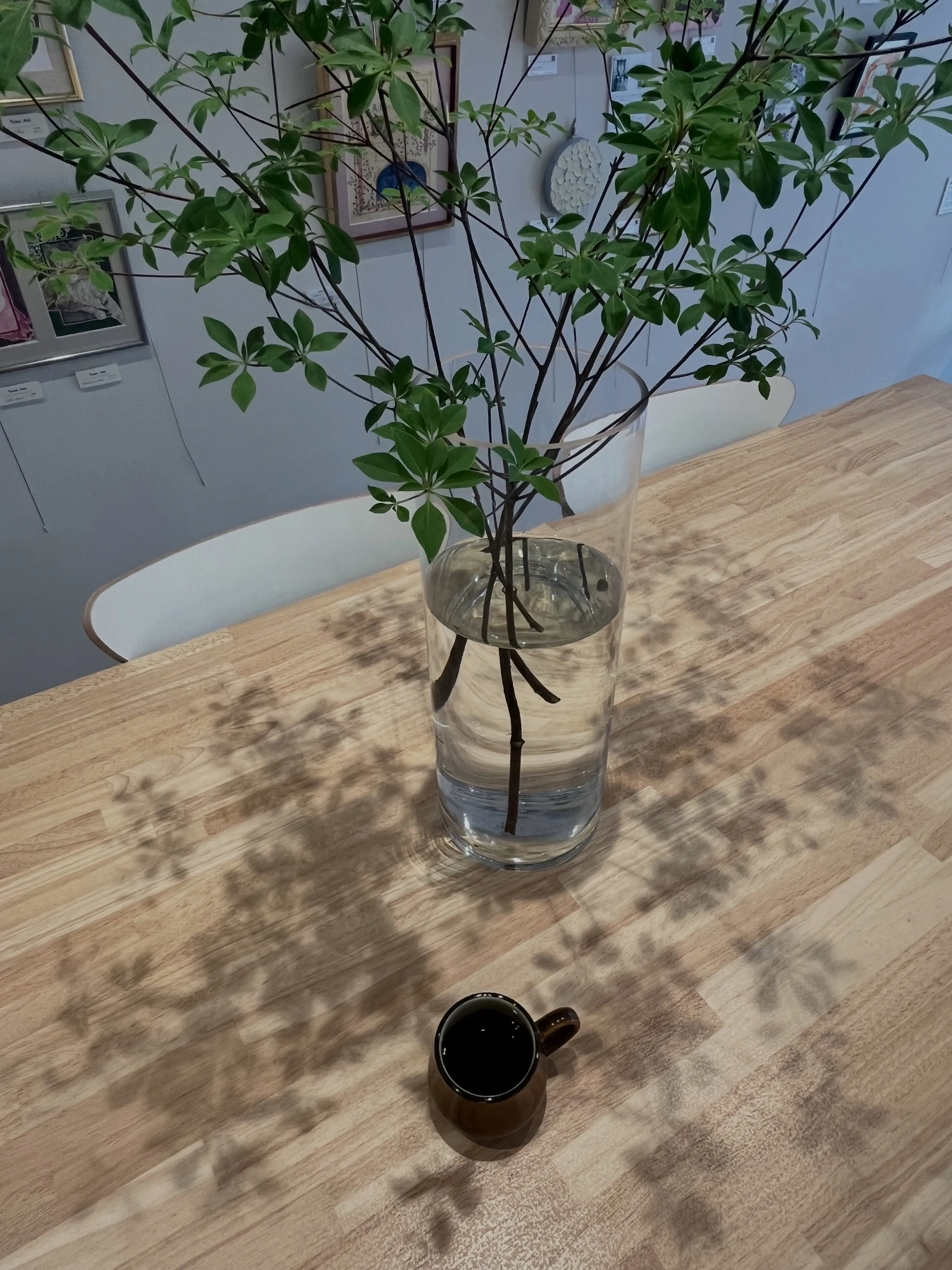 本日もcotton coffeeをご利用頂き、