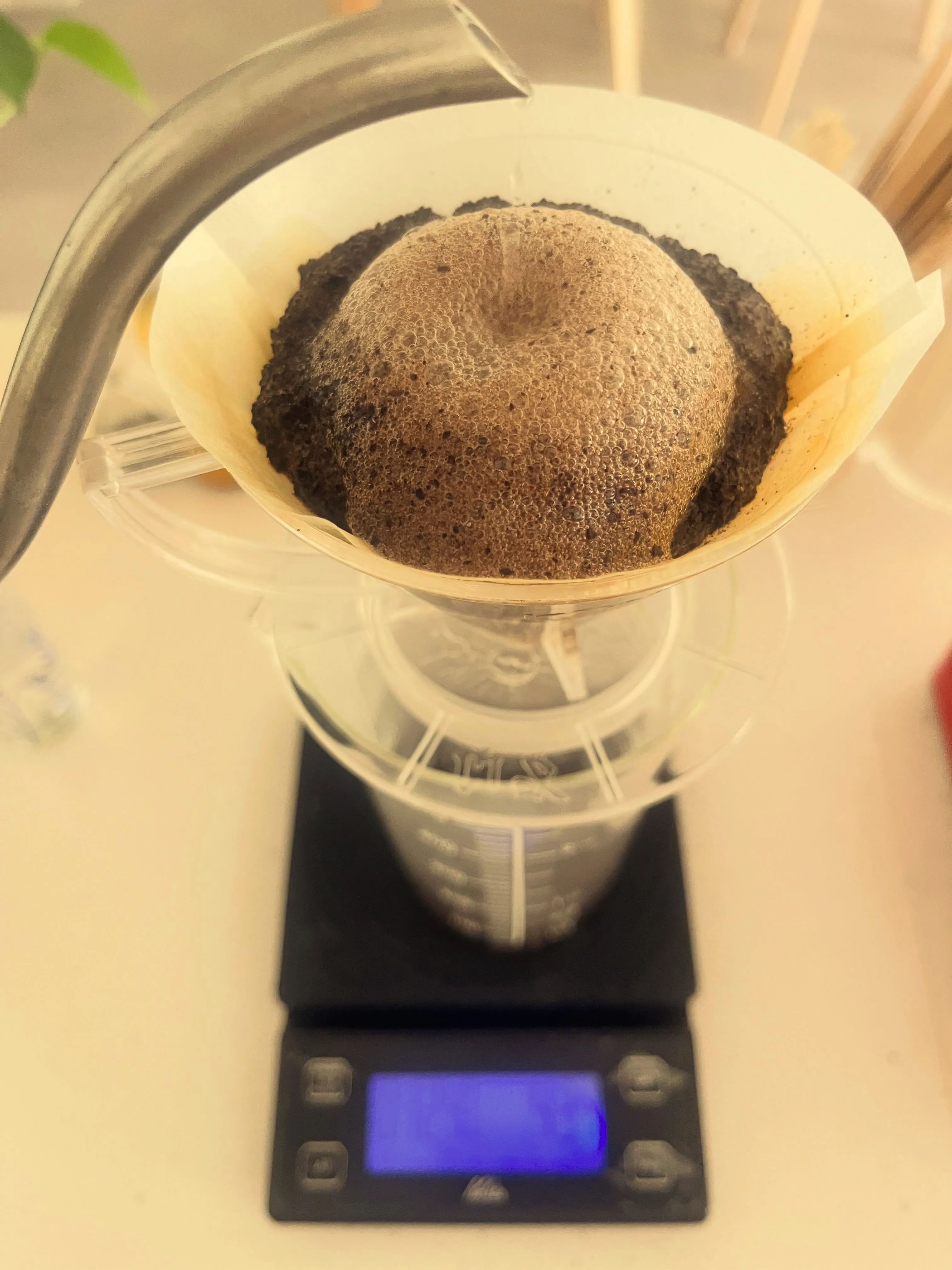 想いのある場所で、cotton coffeeのコーヒーを。