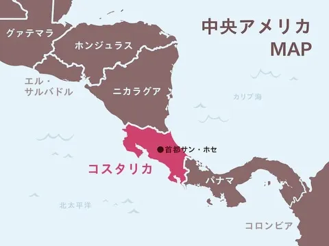珈琲豆のご紹介。