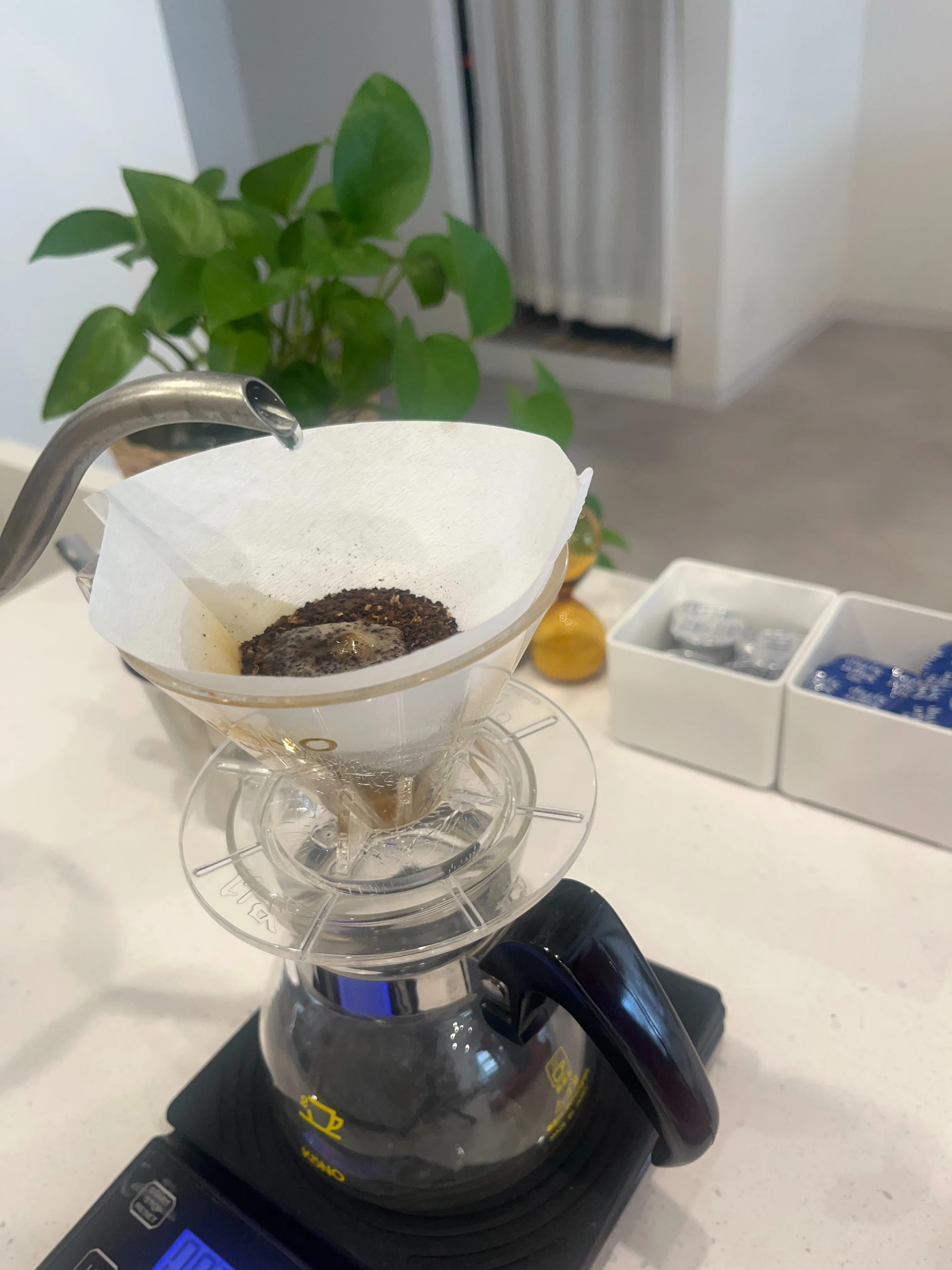 【10月のコーヒー教室開催のお知らせ】