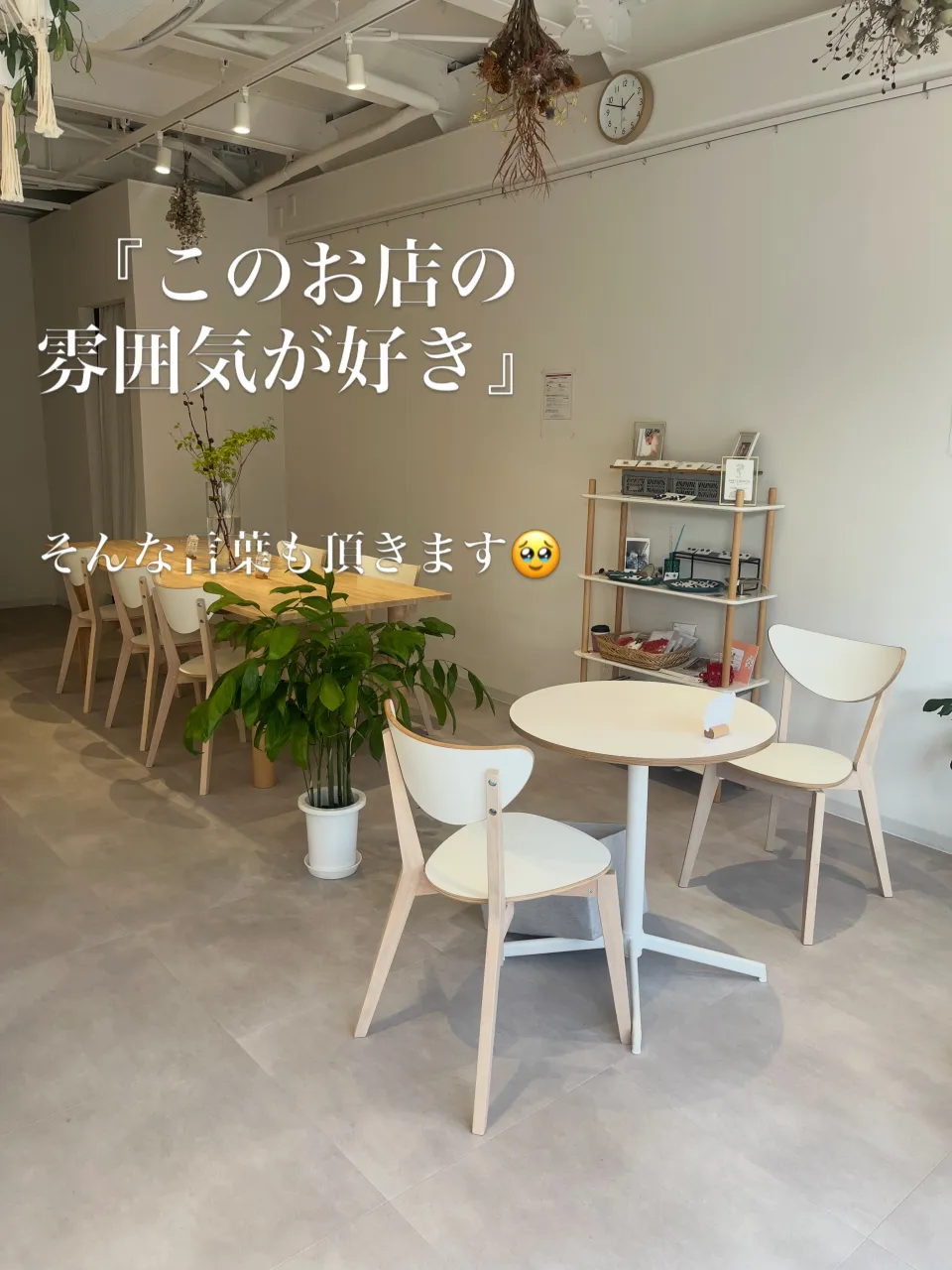「この豆、美味しかったよ」