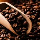 スペシャルティコーヒー